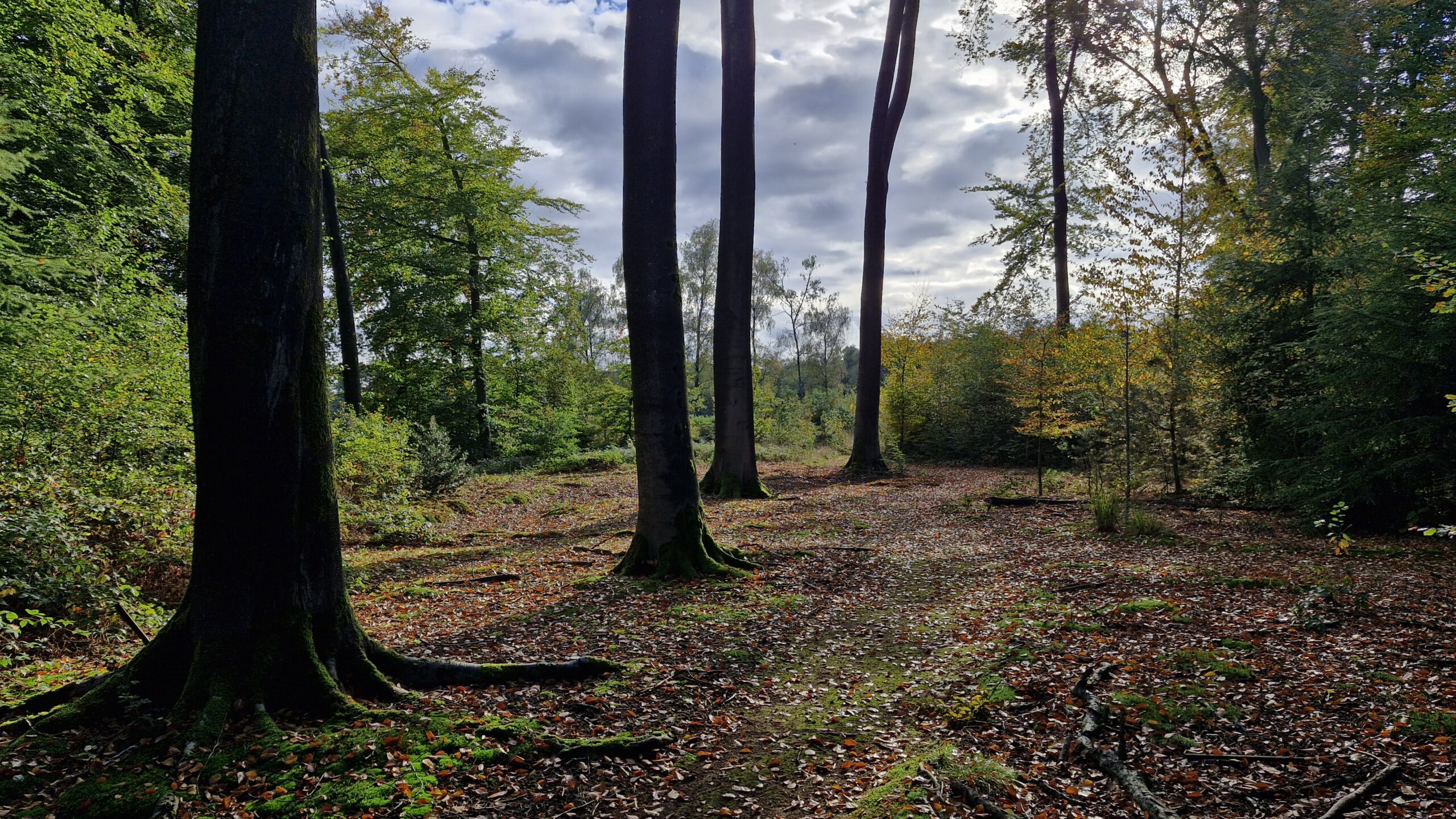 Op het terrein van de Sint Willibrordsabdij is een urnen gedenkpark. In 2024 heeft de abdij besloten om nabestaanden de gelegenheid te geven om op het landgoed van de abdij een urn te begraven.